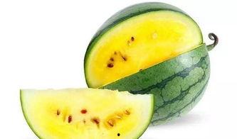 甜蜜瓜吃哪儿的好,全国瓜乡之旅