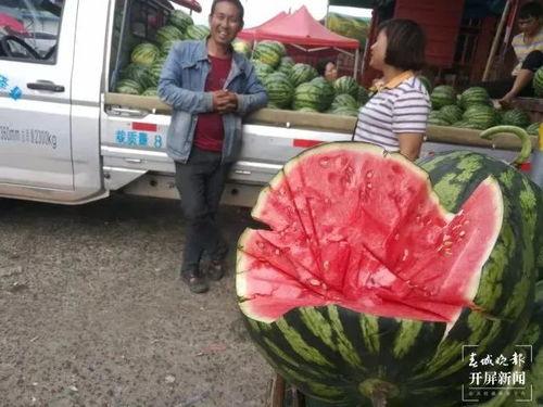 景洪吃瓜群众,吃瓜群众的热议焦点