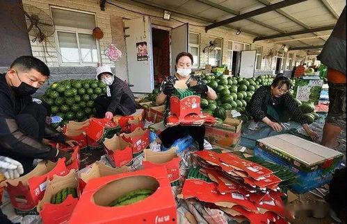 景洪吃瓜群众,吃瓜群众的热议焦点