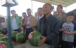 景洪吃瓜群众,吃瓜群众的热议焦点