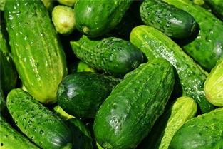 依梦吃瓜,揭秘娱乐圈背后的那些事儿