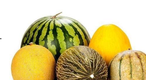 常吃瓜什么益处,健康生活每一天