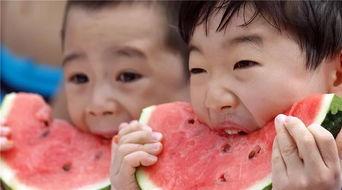 日常小美吃全瓜