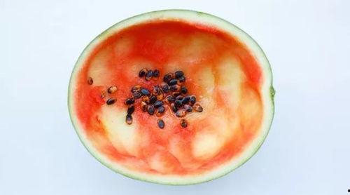 吃瓜的用勺,品味生活点滴