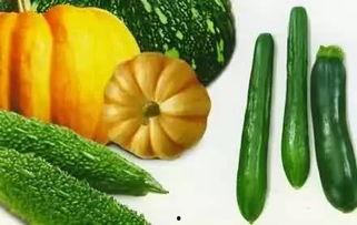 rope吃瓜,揭秘娱乐圈背后的秘密与真相