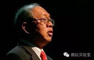 吃瓜数学家,趣味数学与生活智慧碰撞之旅