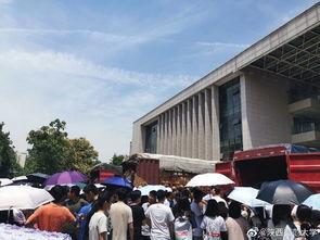 吃瓜大连大学,校园生活的一抹趣味色彩