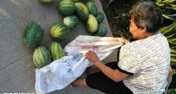 辽大女生最近吃瓜,校园瓜田，最新校园八卦大揭秘