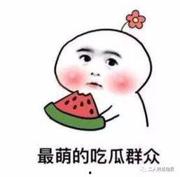 带你吃瓜骗术揭秘,网络骗术背后的真相与防范策略